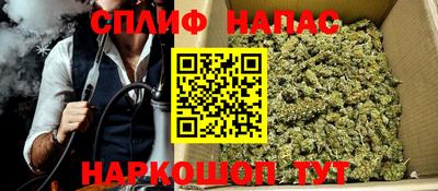 тгк Славгород