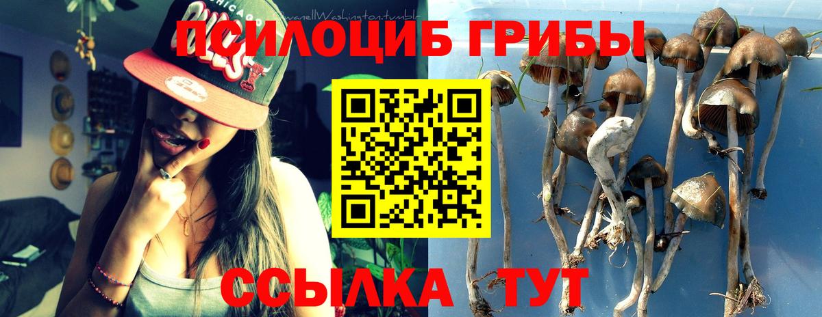 Галлюциногенные грибы GOLDEN TEACHER Осинники